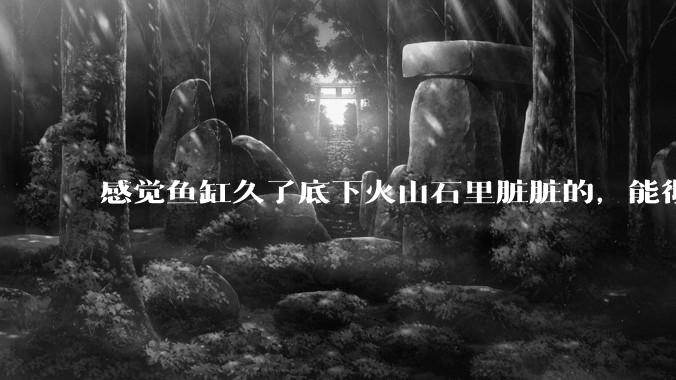 感觉鱼缸久了底下火山石里脏脏的，能彻底换水清理一遍不？